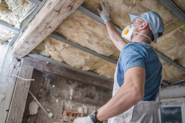 Best Spray Foam Insulation in Louisburg, KS