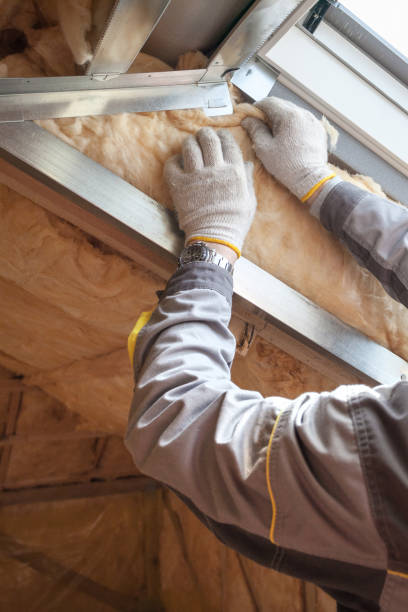 Professional Insulation Contractor in Louisburg, KS