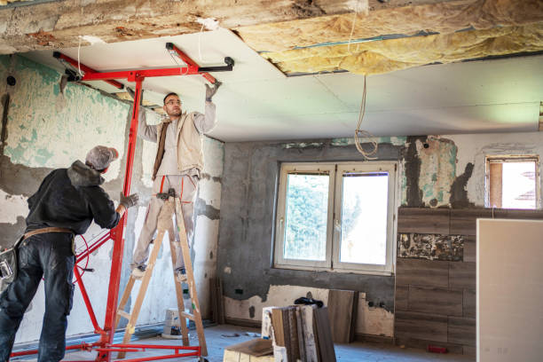 Best Insulation Maintenance and Repair in Louisburg, KS