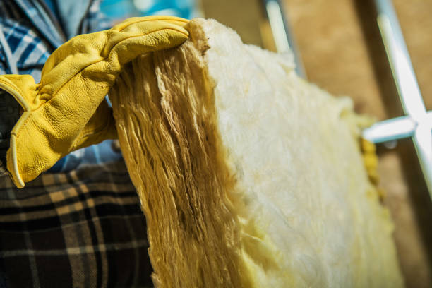 Best Insulation for Specific Applications in Louisburg, KS