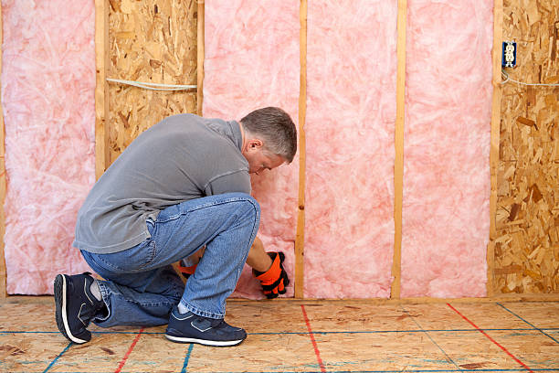 Best Insulation Maintenance and Repair in Louisburg, KS