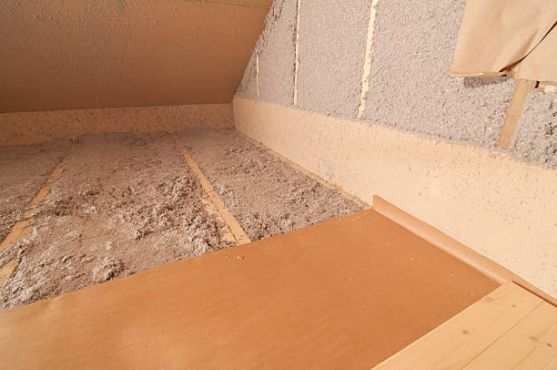 Best Cellulose Insulation in Louisburg, KS
