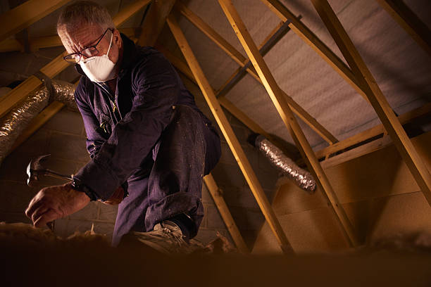 Best Eco-Friendly Insulation in Louisburg, KS